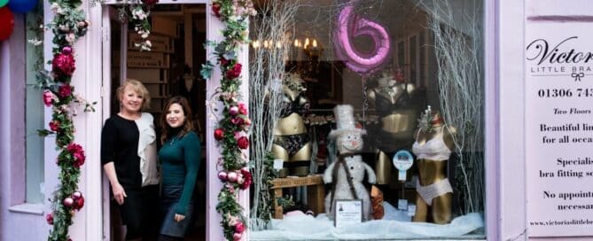 Victoria's Little Bra Shop