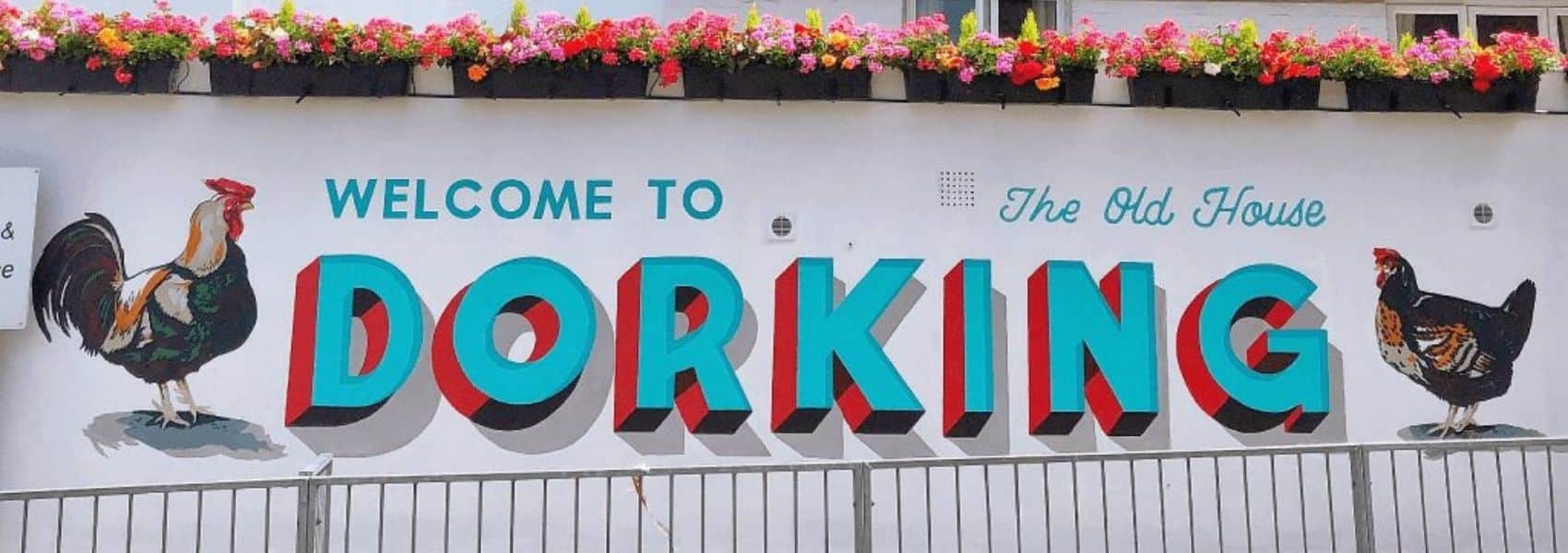 Welcome to Dorking