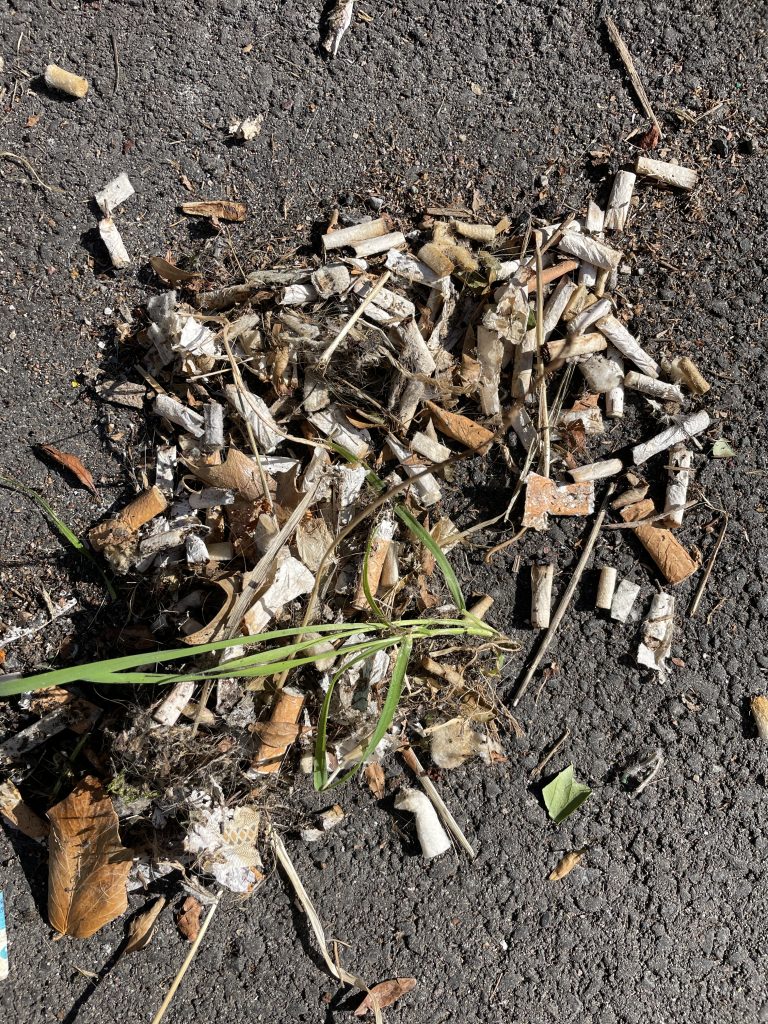 Cigarette Butts
