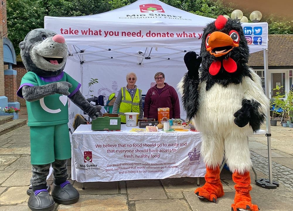 Community food rescue stall at Great Big Green Week in Dorking, Surrey