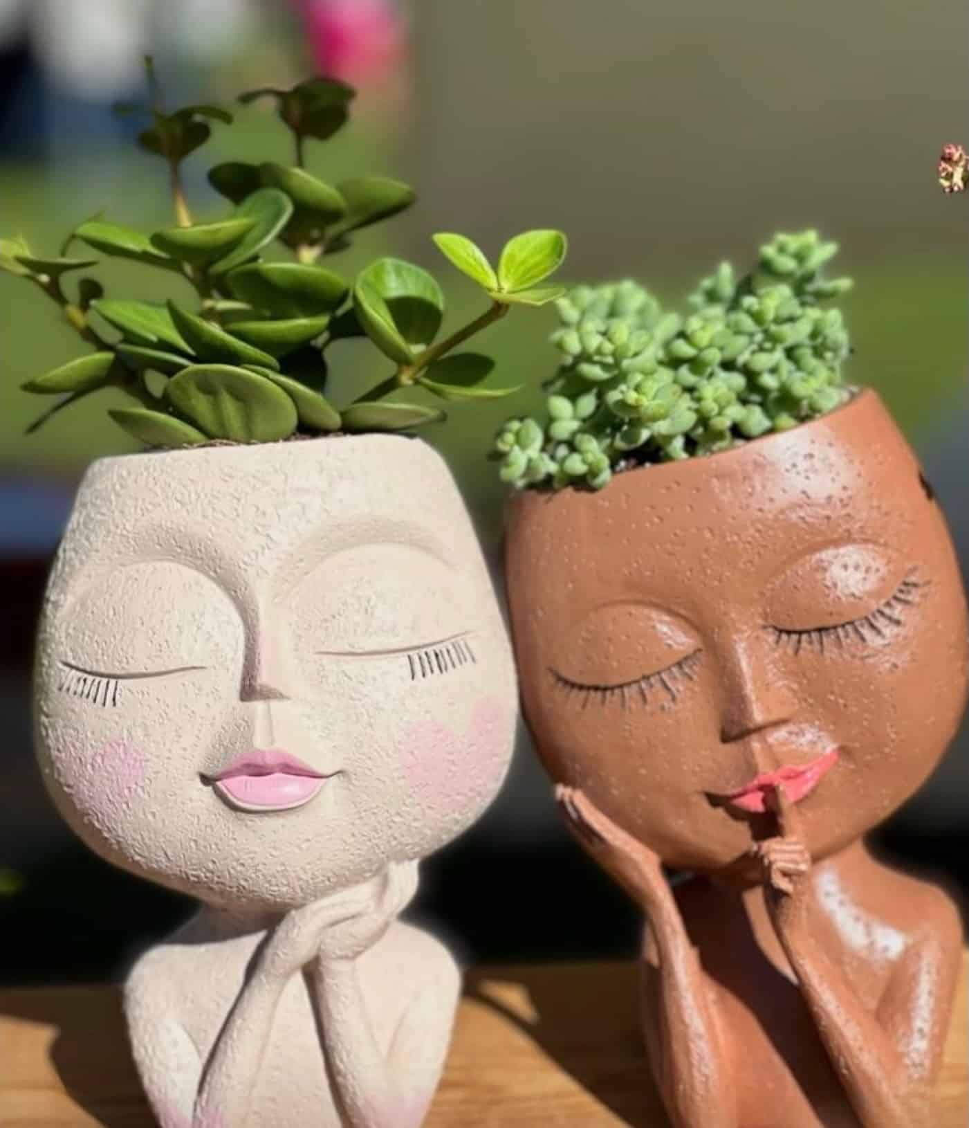 Decorative plant pots with succulents representing a plant-based market in Dorking, Surrey