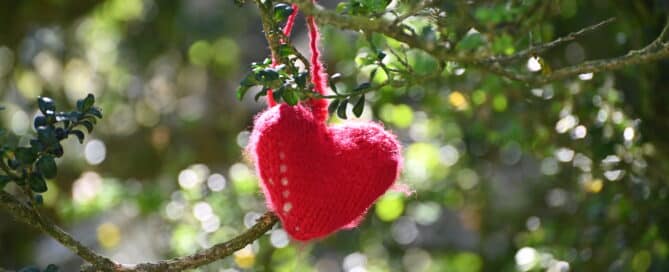 Red knitted heart hanging from a tree during a community event in Dorking, Surrey