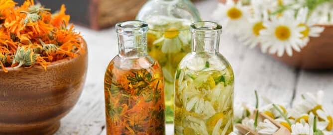 Natural botanical skincare workshop at The Historical Herbologist in Dorking, Surrey.